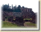 DSCN2908