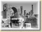 DSCN2753