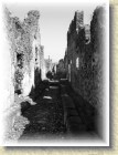 DSCN2761