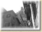 DSCN2955