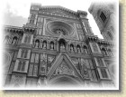 DSCN2957