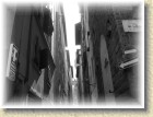 DSCN2976
