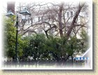DSCN2461
