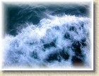 DSCN2504