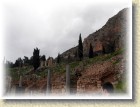 DSCN2601