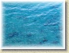 DSCN2704